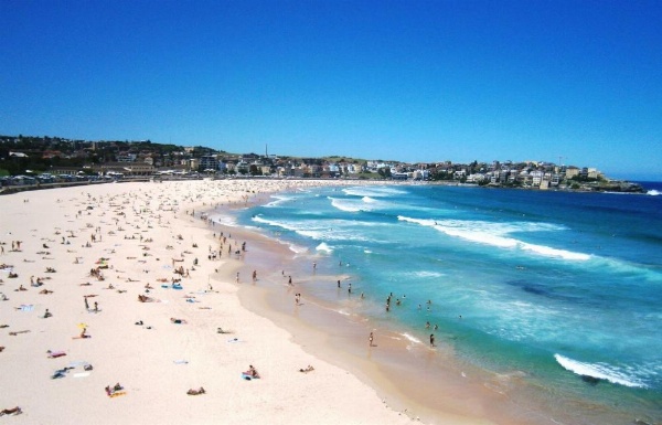Ultimate Apartments Bondi Beach image 15